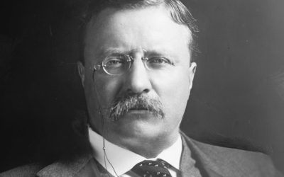 President Theodore Rosevelt:  Citizenship in a Republic